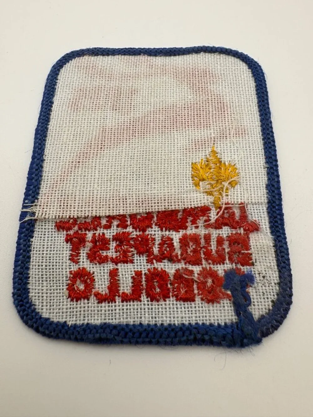 Vintage 1933 World Scout Jamboree Patch Budapest Godollo Hungary Stag Emblem